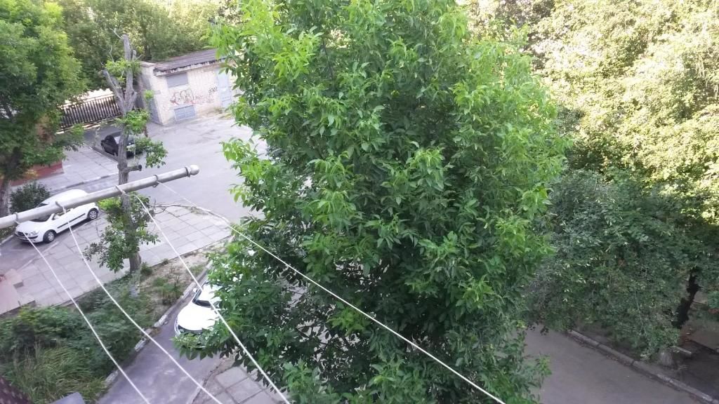 Апартаменты Apartment on Mozolevskogo in the Center of the City Херсон-88